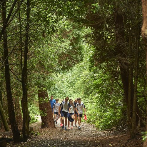 group of teenagers walking through woods