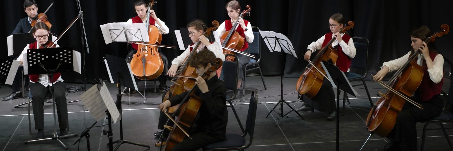 students playing the cello