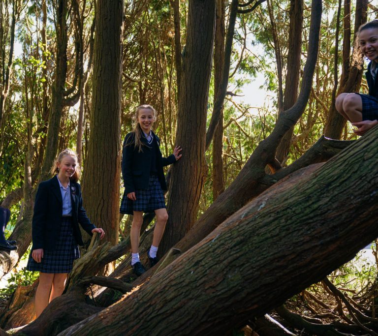 students in the forest