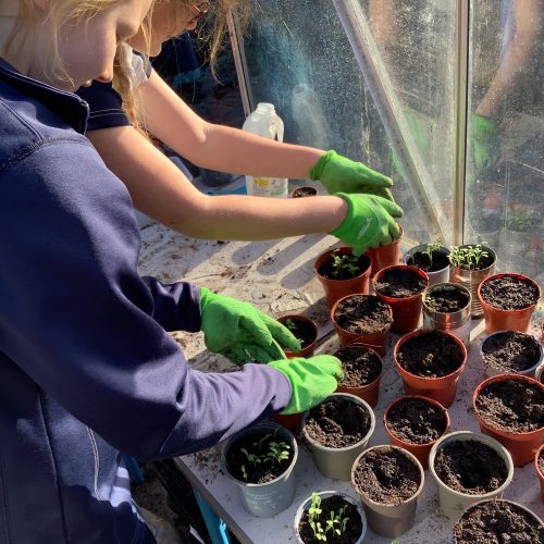 children potting plants