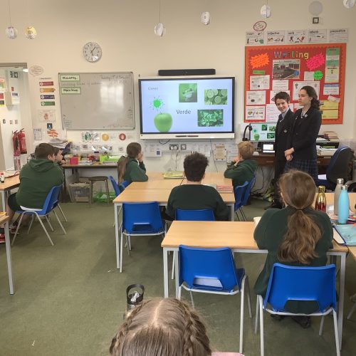 Students sat in a class