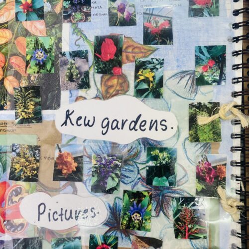 Kew Gardens study