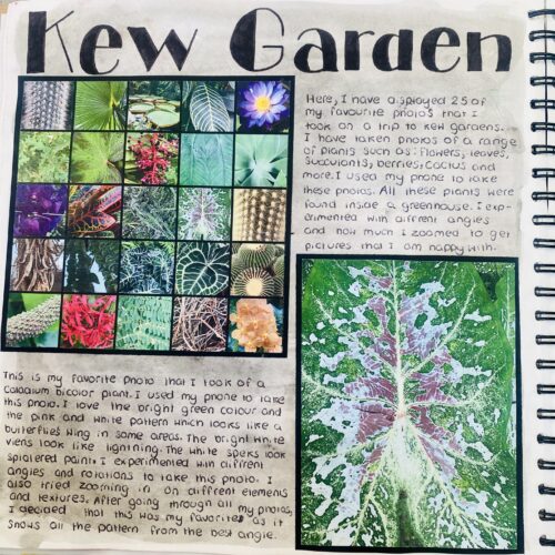 Kew Garden study