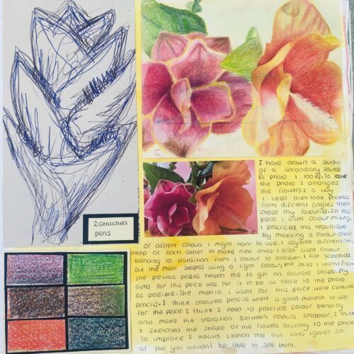 plant study in art book