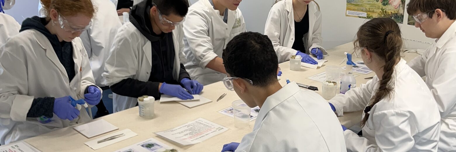 students in the lab