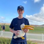 Desert Spring Pelican 2024