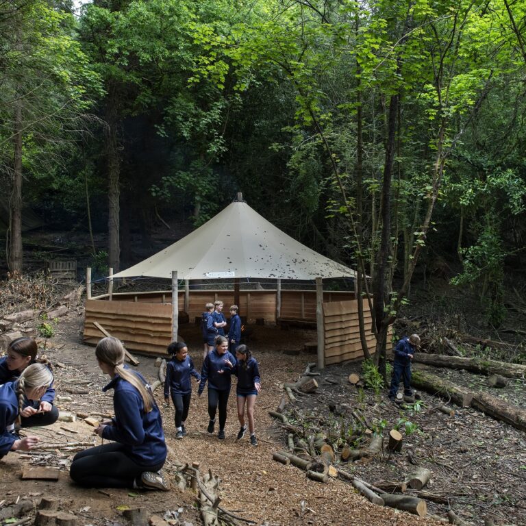 students in a forest